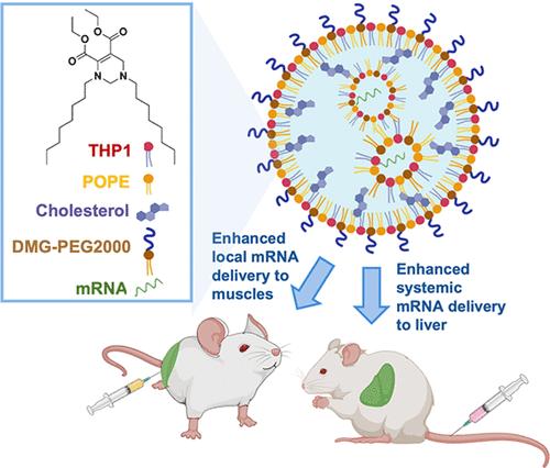 Tetrahydropyrimidine Ionizable Lipids for Efficient mRNA Delivery