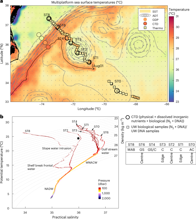 Nitrogen fixation in the North Atlantic supported by Gulf Stream eddy-borne diazotrophs