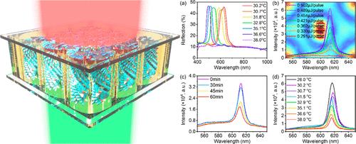 Enhanced Laser Emission by Incorporating Helically Twisted Silver Nanoflakes within Polymer-Stabilized Cholesteric Liquid Crystals