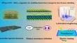 MoS2 Lubricate-Toughened MXene/ANF Composites for Multifunctional Electromagnetic Interference Shielding