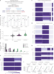 Model-directed generation of artificial CRISPR–Cas13a guide RNA sequences improves nucleic acid detection