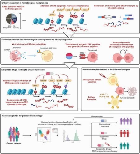 Endogenous retroelements in hematological malignancies: From epigenetic dysregulation to therapeutic targeting