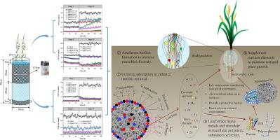 Palygorskite-mediated simultaneous nutrient removal and antibiotic degradation from aquaculture wastewater in lab-scale constructed wetlands