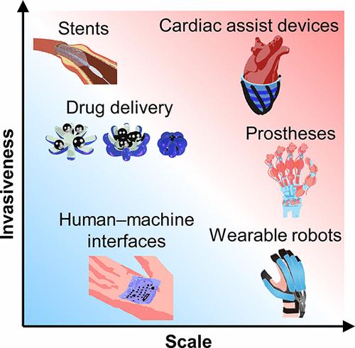 Wearable and Implantable Soft Robots