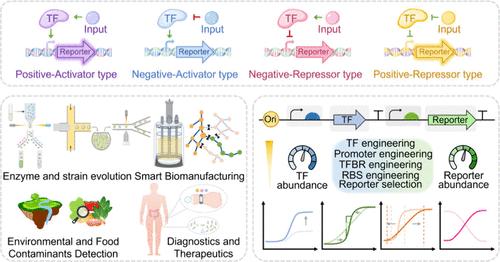 Application Evaluation and Performance-Directed Improvement of the Native and Engineered Biosensors.