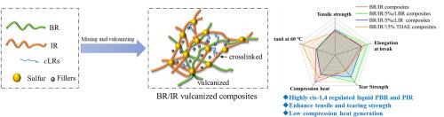 Influence of High cis-1,4-Liquid Polydienes on Properties of Carbon-Black Filled Composites