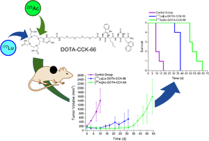 Preclinical evaluation of <sup>225</sup>Ac-labeled minigastrin analog DOTA-CCK-66 for Targeted Alpha Therapy.