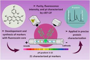 Fluorescein-based low-molecular-mass markers of isoelectric point for tracing pH gradient using high sensitivity capillary isoelectric focusing with laser-induced fluorescence detection