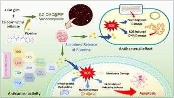 Guar gum and carboxymethyl cellulose nanocomposite loaded with piperine: a multipurpose nanoparticle with potential antibacterial and anticancer properties