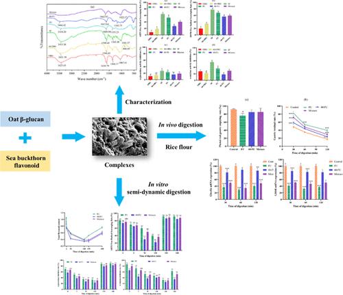 Effect of Complexation with Different Molecular Weights of Oat β-Glucan and Sea Buckthorn Flavonoid on the Digestion of Rice Flour