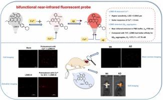 Construction of a bifunctional near-infrared fluorescent probe for visualization of copper (II) ions and amyloid-β aggregates in Alzheimer's disease