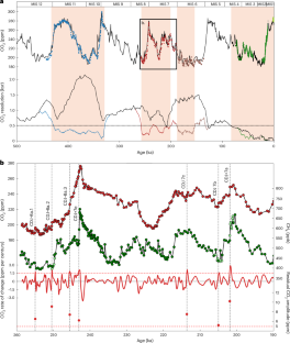 Centennial-scale variations in the carbon cycle enhanced by high obliquity