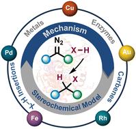 Mechanism and stereoselectivity in metal and enzyme catalyzed carbene insertion into X-H and C(sp<sup>2</sup>)-H bonds.