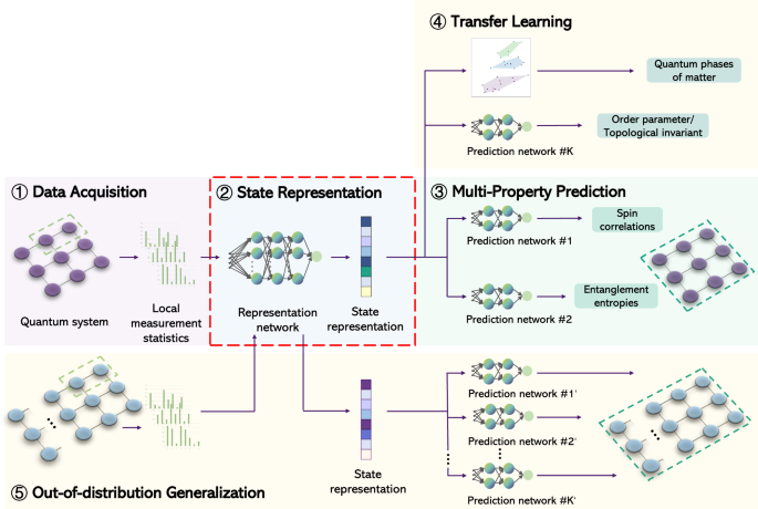 Learning quantum properties from short-range correlations using multi-task networks.