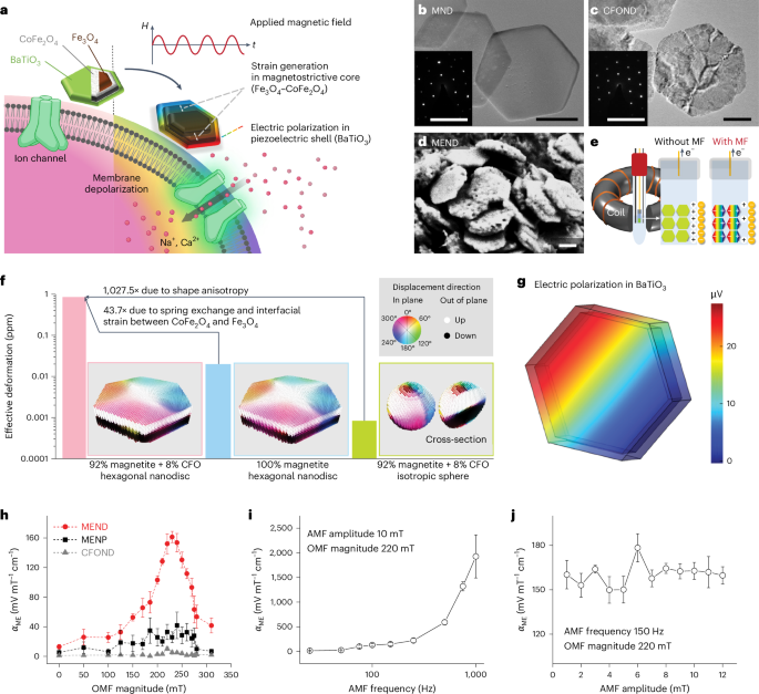 Magnetoelectric nanodiscs enable wireless transgene-free neuromodulation