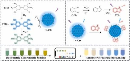 Rational design of carbon dot nanozymes for ratiometric dual-signal and smartphone-assisted visual detection of nitrite in food matrices