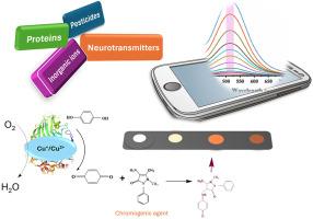 Frontiers in Laccase Nanozymes-Enabled Colorimetric Sensing: A review