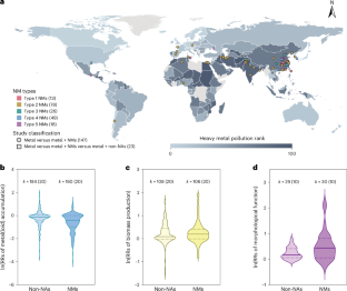 Engineered nanomaterials reduce metal(loid) accumulation and enhance staple food production for sustainable agriculture