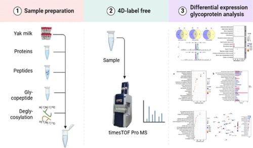 Comparison of Whey N-Glycoproteins in Yak Colostrum and Mature Milk Based on 4D Label-Free Technology.