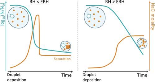 Salt Supersaturation as an Accelerator of Influenza A Virus Inactivation in 1 μL Droplets.