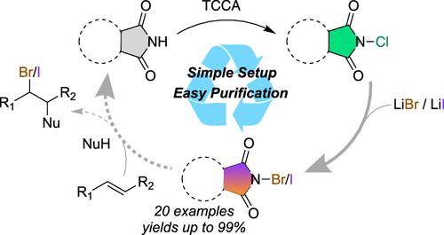 Synthesis of N-Bromo and N-Iodo Imides: A Rapid Redox-Neutral and Bench Stable Process