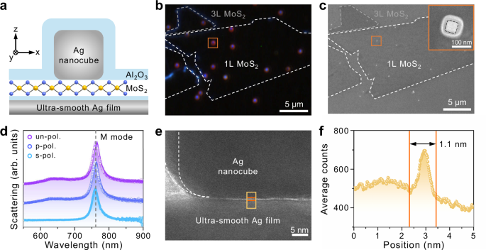 Quantifying the ultimate limit of plasmonic near-field enhancement