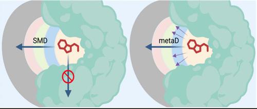 Prediction of Threonine-Tyrosine Kinase Receptor-Ligand Unbinding Kinetics with Multiscale Milestoning and Metadynamics.