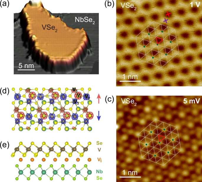 Artificial superconducting Kondo lattice in a van der Waals heterostructure