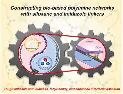 Soft-Rigid Construction of Mechanically Robust, Thermally Stable, and Self-Healing Polyimine Networks with Strongly Recyclable Adhesion.