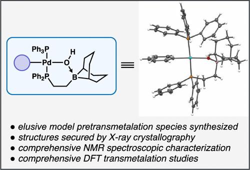 Suzuki–Miyaura Cross-Couplings of Alkylboranes: Transmetalation Studies and Synthesis of Model Organopalladium Pretransmetalation Species