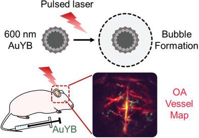 Nanoporous Submicron Gold Particles Enable Nanoparticle-Based Localization Optoacoustic Tomography (nanoLOT)