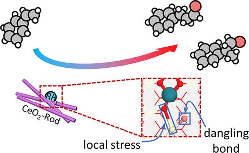 Molecular Understanding of Heterogeneous Hydroformylation on Rh1/CeO2: Morphology Effects