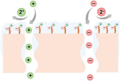 Charge-Sign-Independent Separation of Mono- and Divalent Ions With Nanofiltration Membranes