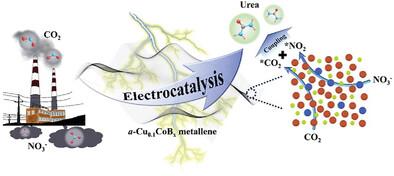 Trace Cu-Induced Low C─N Coupling Barrier on Amorphous Co Metallene Boride for Boosting Electrochemical Urea Production