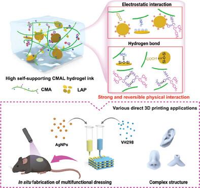 High Self-Supporting Chitosan-Based Hydrogel Ink for In Situ 3D Printed Diabetic Wound Dressing