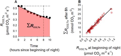 Simple and Accurate Representation of Cumulative Nighttime Leaf Respiratory CO2 Efflux