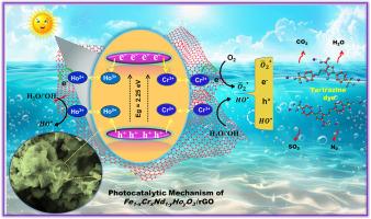 Synergizing nanotechnology, codoping, and reinforcement with rGO to increase the catalytic activity of a modified Ho/Cr-FeNdO3-rGO nanocomposite for tartrazine removal