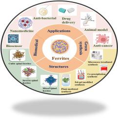 Green synthesis of Cubic Spinel ferrites and their Potential biomedical applications