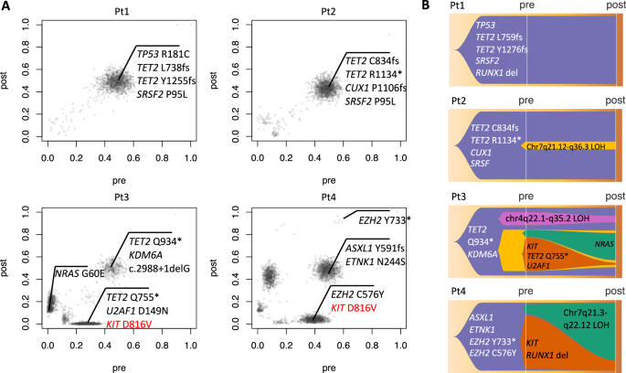 Clonal dynamics of aggressive systemic mastocytosis on avapritinib therapy