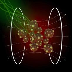 Magnetic vortex γ-Fe2O3 nanospheres decorated with gold nanoparticles for dual hyperthermia treatment