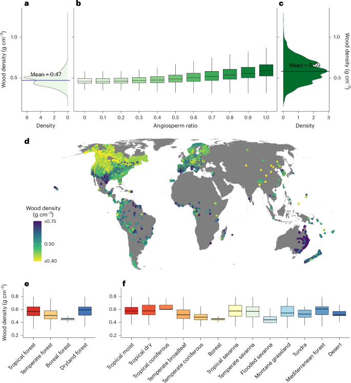 The global distribution and drivers of wood density and their impact on forest carbon stocks