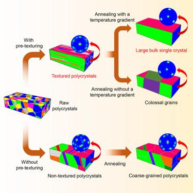 Fabrication of bulk single crystals via texture-engineered grain growth