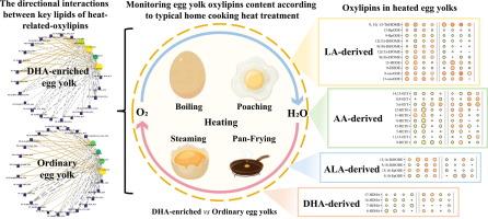 Mass spectrometry unveils heat-induced changes in yolk oxylipins and key lipid molecules during home cooking