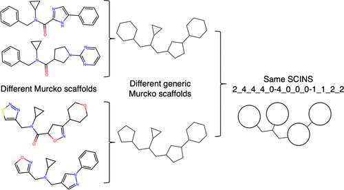 An Open-Source Implementation of the Scaffold Identification and Naming System (SCINS) and Example Applications