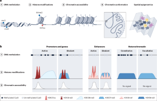 Epigenomic heterogeneity as a source of tumour evolution