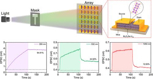 Self-Powered and Broadband Optical Synapse Device Based on Se-Vacancy Bi2O2Se for Artificial Vision System Application