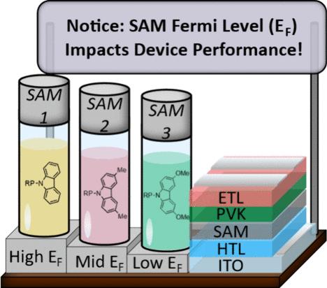 Understanding the Impact of SAM Fermi Levels on High Efficiency p-i-n Perovskite Solar Cells