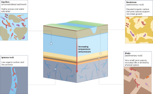 Anthropogenic impacts on the terrestrial subsurface biosphere