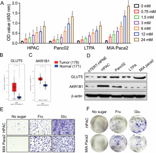 Exploring fructose metabolism as a potential therapeutic approach for pancreatic cancer