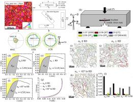 Twinning mediated anisotropic fracture behavior in bioimplant grade hot-rolled pure magnesium